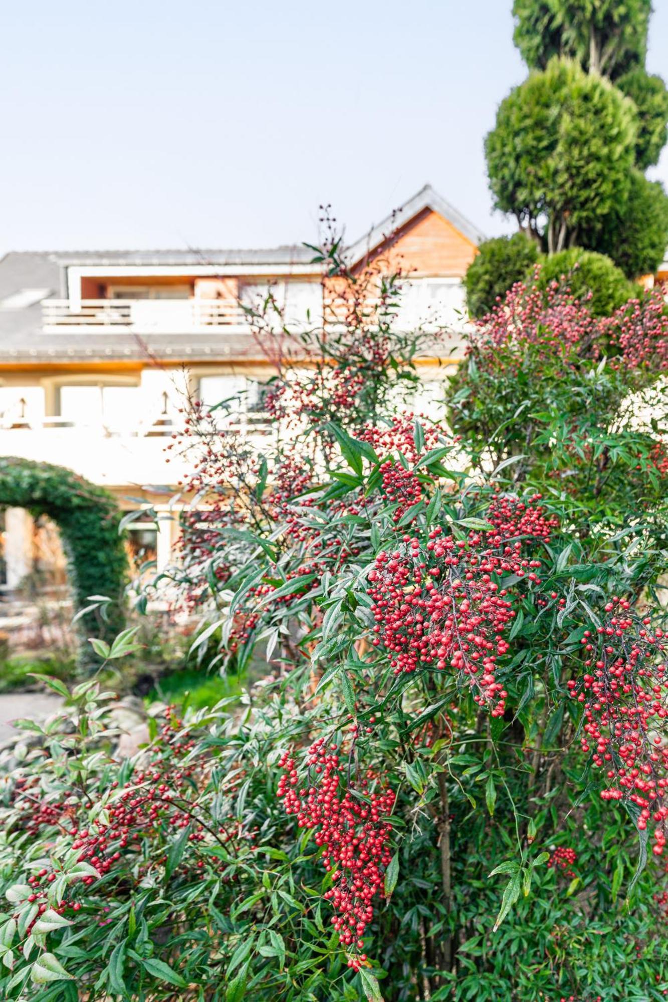 Saint Anne-dʼAuray Logis L'Auberge - Maison Glenn Anna מראה חיצוני תמונה